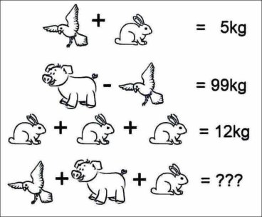 Animal Math Image