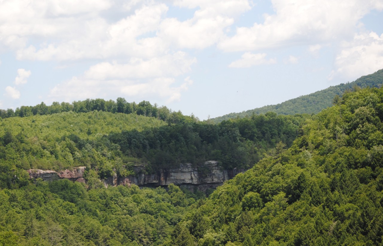 A Little More&nbsp;Walkin’