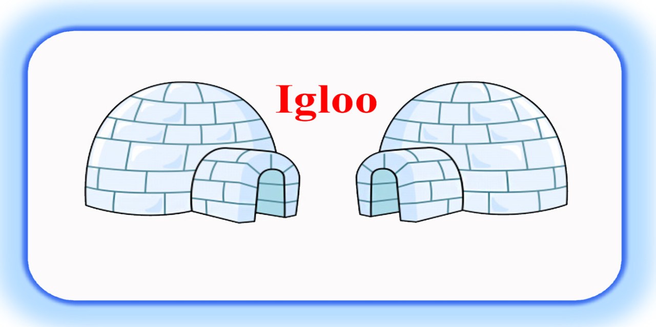 Igloo