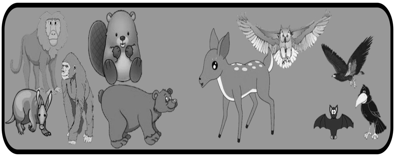 Funky Figures Flying Fast: An Alphabetic&nbsp;Anecdote